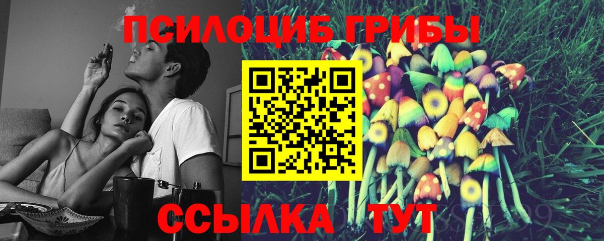 Галлюциногенные грибы Psilocybine cubensis Братск